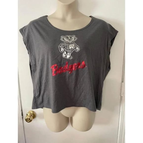Gray Wisconsin Badgers football t-shirt with a round neck xxl #0267 - Picture 1 of 5